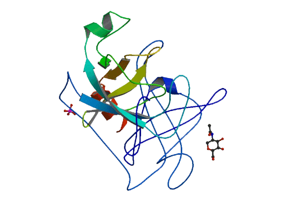 Connare Tech provides the University at Buffalo's structural biology department and the HWI Medical Research Institute with state of the art bioinfomatic software.  Using proprietary algorithms our software suite helps scientists analyze the genetic code in ways never thought possible.  Research from these tools has been published and presented internationally. 
